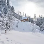 Hébergement de vacances Haus Ostermoasspitz In St- Martin Am Tennengebirge By Interhome *