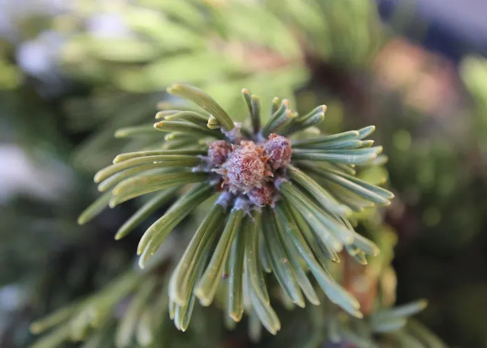 Haus Ostermoasspitz In St- Martin Am Tennengebirge By Interhome Dom wakacyjny